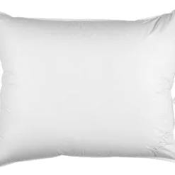 Høie Kudde 550g Hoie CLEAN 50x60