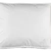 Høie Kudde 1000g Hoie DOWNFEEL 50x60x10 -Sovrum affär 81534